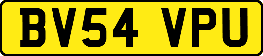 BV54VPU