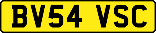 BV54VSC