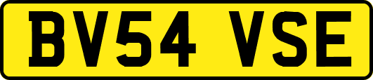BV54VSE