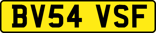 BV54VSF