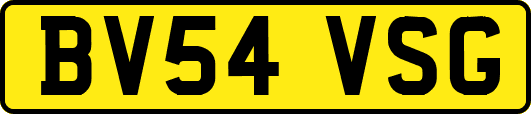 BV54VSG