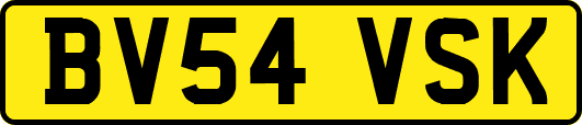 BV54VSK