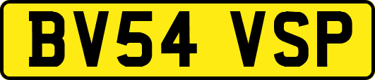 BV54VSP