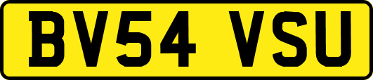 BV54VSU