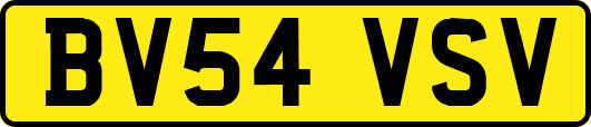 BV54VSV