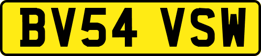 BV54VSW