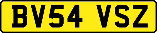 BV54VSZ