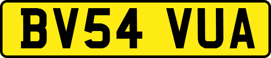 BV54VUA