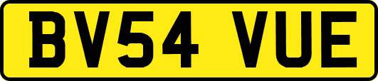 BV54VUE