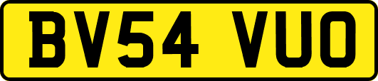 BV54VUO