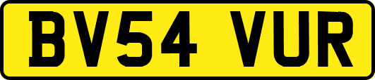 BV54VUR