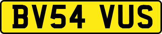 BV54VUS