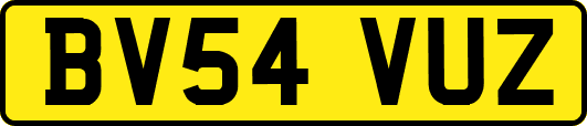 BV54VUZ