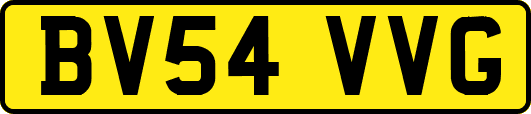 BV54VVG
