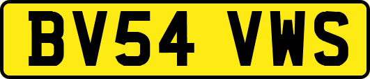 BV54VWS