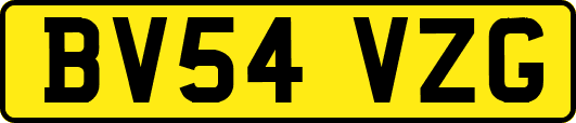 BV54VZG