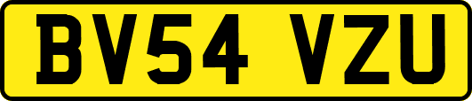 BV54VZU