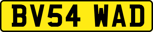 BV54WAD