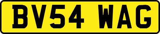 BV54WAG