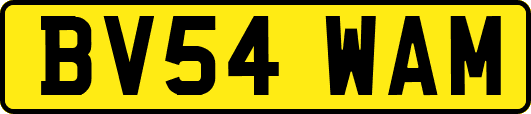 BV54WAM