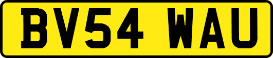 BV54WAU