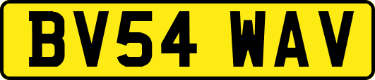 BV54WAV