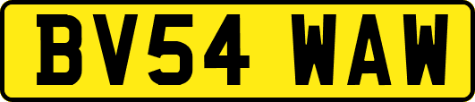 BV54WAW