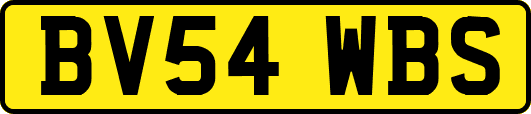 BV54WBS