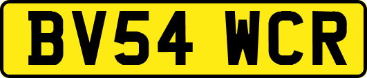 BV54WCR