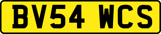 BV54WCS
