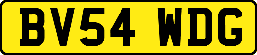 BV54WDG