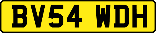 BV54WDH