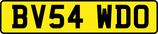 BV54WDO