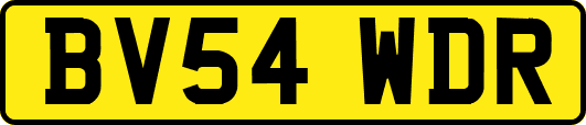 BV54WDR