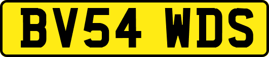 BV54WDS