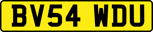 BV54WDU