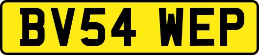 BV54WEP