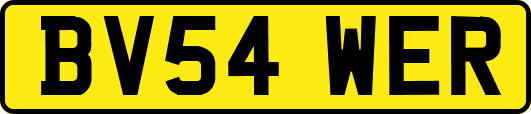 BV54WER