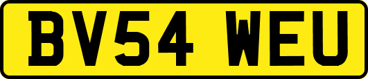 BV54WEU