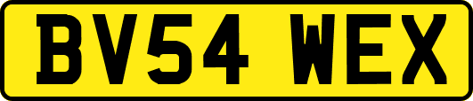 BV54WEX
