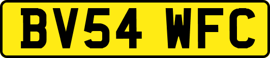 BV54WFC