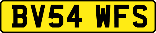 BV54WFS
