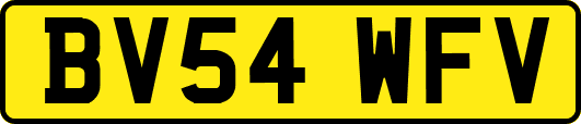 BV54WFV