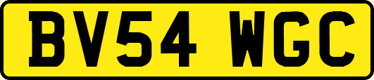 BV54WGC