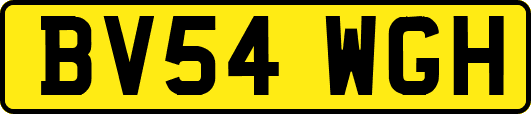 BV54WGH
