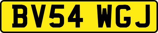 BV54WGJ