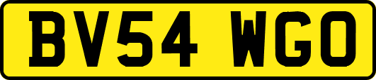 BV54WGO