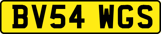 BV54WGS