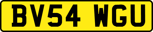 BV54WGU