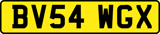 BV54WGX